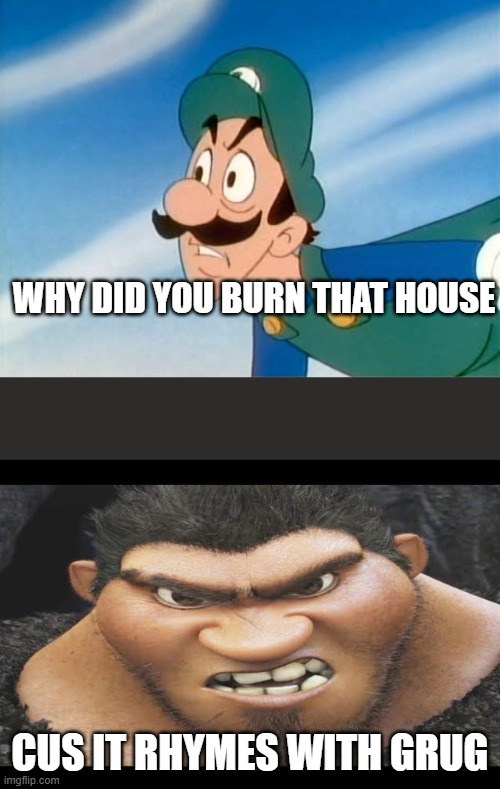 WHY DID YOU BURN THAT HOUSE; CUS IT RHYMES WITH GRUG | image tagged in why did you do that luigi,because it rhymes with grug | made w/ Imgflip meme maker