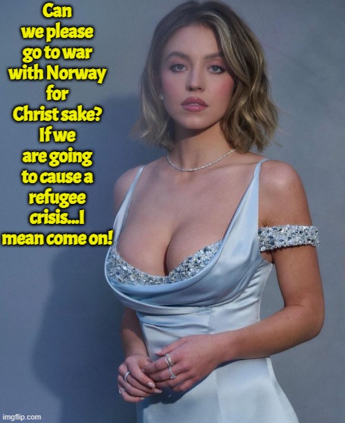I am all for war! But lets be smart | Can we please go to war with Norway for Christ sake? If we are going to cause a refugee crisis...I mean come on! | image tagged in mens rights,mgtow,norway,refugees,world war 3,models | made w/ Imgflip meme maker
