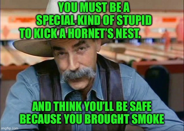Sam Elliott special kind of stupid | YOU MUST BE A SPECIAL KIND OF STUPID TO KICK A HORNET’S NEST. AND THINK YOU’LL BE SAFE BECAUSE YOU BROUGHT SMOKE | image tagged in sam elliott special kind of stupid | made w/ Imgflip meme maker