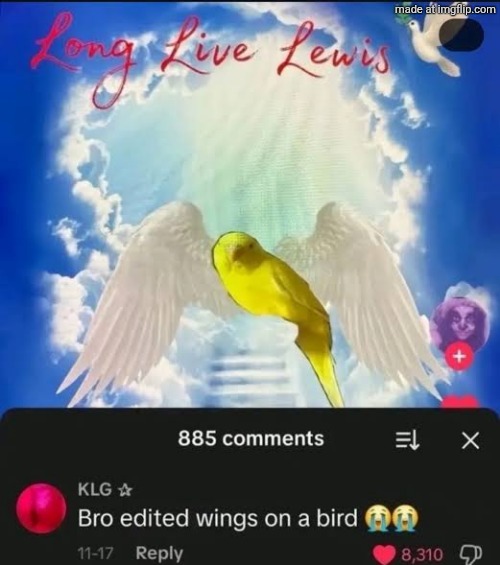 made w/ Imgflip meme maker