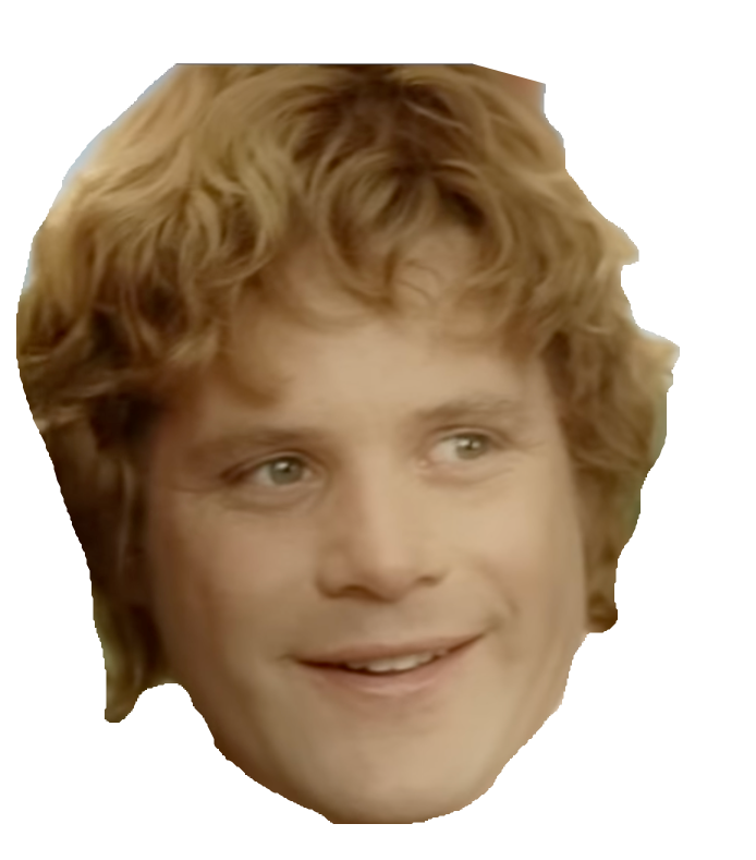 Samwise happy Blank Meme Template