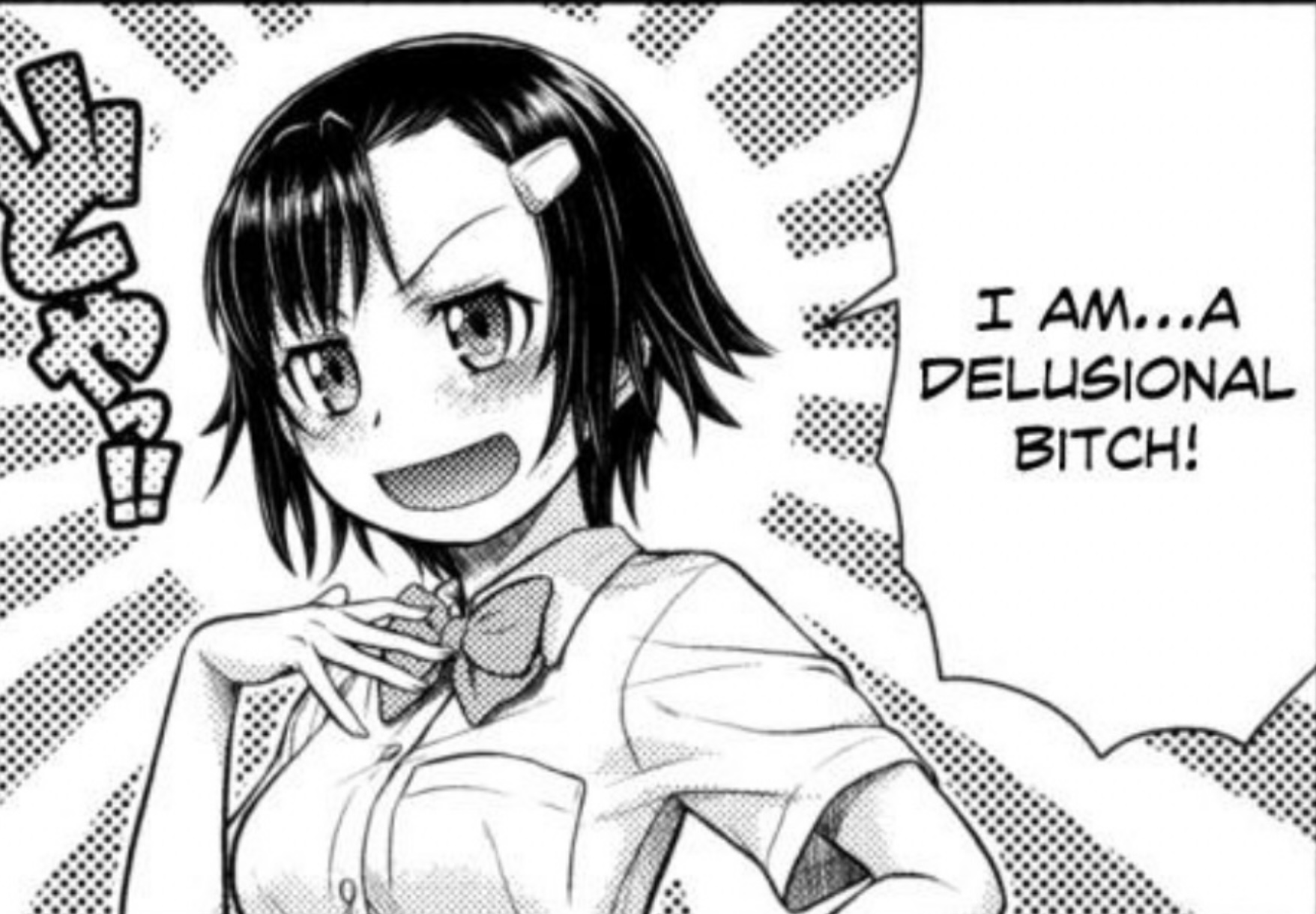 i'm a delusional Bitch Blank Meme Template