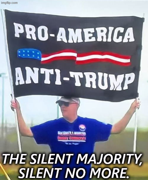 Twice as many Americans feel this way than follow MAGA. | THE SILENT MAJORITY, 
SILENT NO MORE. | image tagged in silent,majority,patriots,hate,trump | made w/ Imgflip meme maker