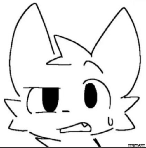 bro, wtf | image tagged in bro wtf | made w/ Imgflip meme maker