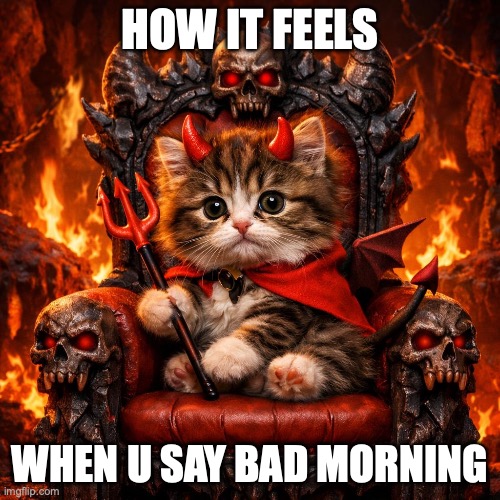 Kitty | HOW IT FEELS; WHEN U SAY BAD MORNING | image tagged in kitten,kitty,cute,cats,cat | made w/ Imgflip meme maker