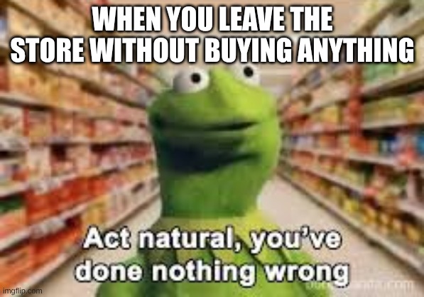 act natural, you've done nothing wrong | WHEN YOU LEAVE THE STORE WITHOUT BUYING ANYTHING | image tagged in act natural you've done nothing wrong | made w/ Imgflip meme maker