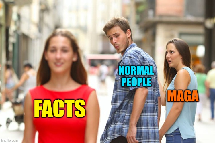And That's The Truth | NORMAL
PEOPLE; MAGA; FACTS | image tagged in memes,distracted boyfriend,impeach trump,lock him up,maga,terrorists | made w/ Imgflip meme maker
