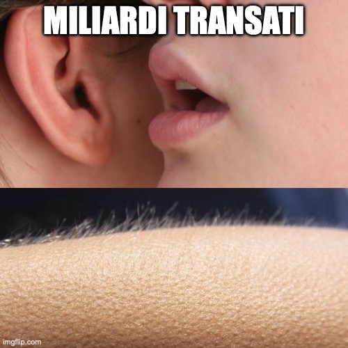 Whisper and Goosebumps | MILIARDI TRANSATI | image tagged in whisper and goosebumps | made w/ Imgflip meme maker