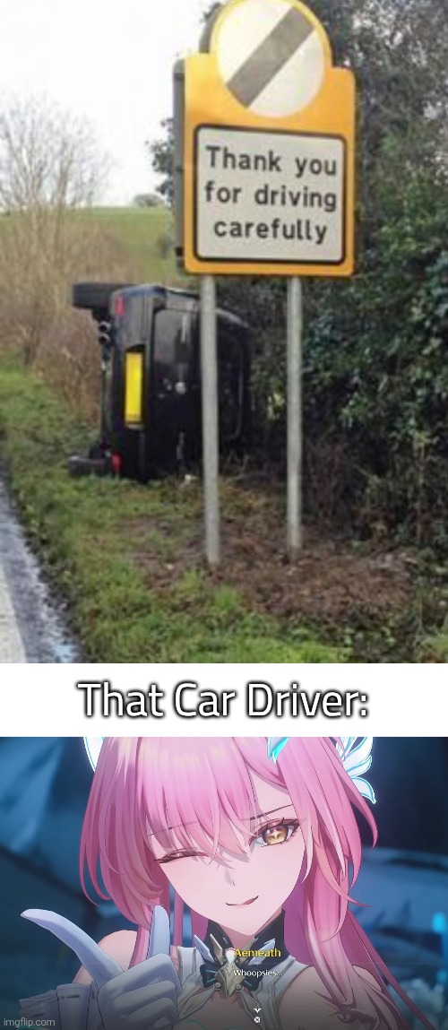 So much for driving carefully... | That Car Driver: | image tagged in car,careful | made w/ Imgflip meme maker