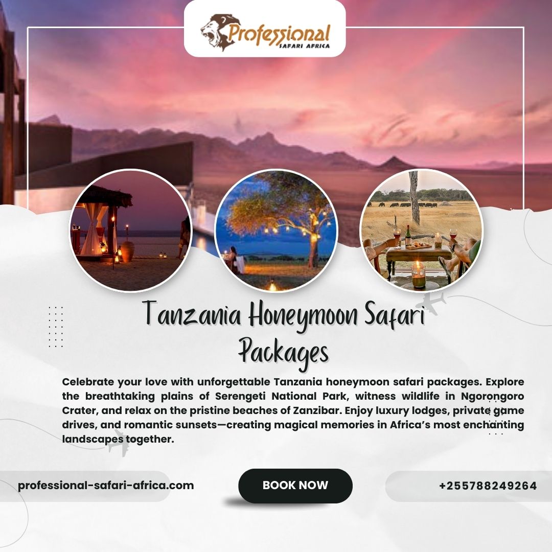 Tanzania Honeymoon Safari Packages Blank Meme Template