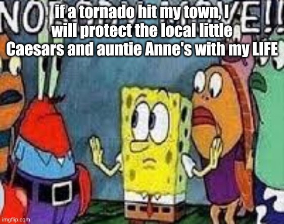 NOBODY MOVE!! | if a tornado hit my town, I will protect the local little Caesars and auntie Anne's with my LIFE | image tagged in nobody move | made w/ Imgflip meme maker