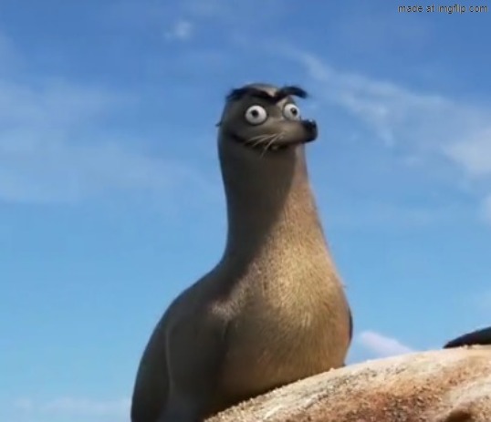 Gerald the Sea Lion | image tagged in gerald the sea lion | made w/ Imgflip meme maker