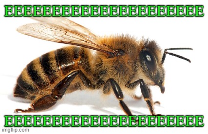 EEEEEEEEEEEEEEEEEEEEE | EEEEEEEEEEEEEEEEEEEEE; EEEEEEEEEEEEEEEEEEEEE | image tagged in bee,memes,green | made w/ Imgflip meme maker