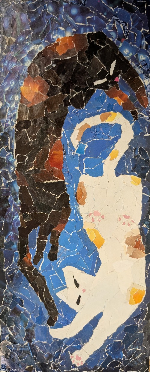 cat collage for art 1 | made w/ Imgflip meme maker