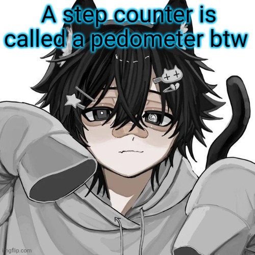 tfym I ain't masculine? | A step counter is called a pedometer btw | image tagged in tfym i ain't masculine | made w/ Imgflip meme maker