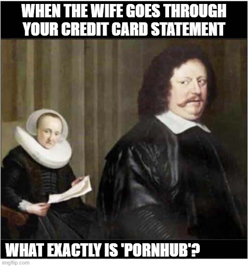 Well, This Is Awkward ! | WHEN THE WIFE GOES THROUGH
YOUR CREDIT CARD STATEMENT; WHAT EXACTLY IS 'PORNHUB'? | image tagged in well this is awkward,statement | made w/ Imgflip meme maker