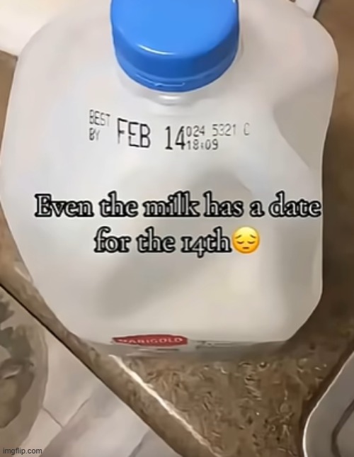 i found this gem too late... | made w/ Imgflip meme maker