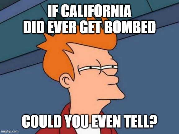 Futurama Fry Meme | IF CALIFORNIA DID EVER GET BOMBED COULD YOU EVEN TELL? | image tagged in memes,futurama fry | made w/ Imgflip meme maker