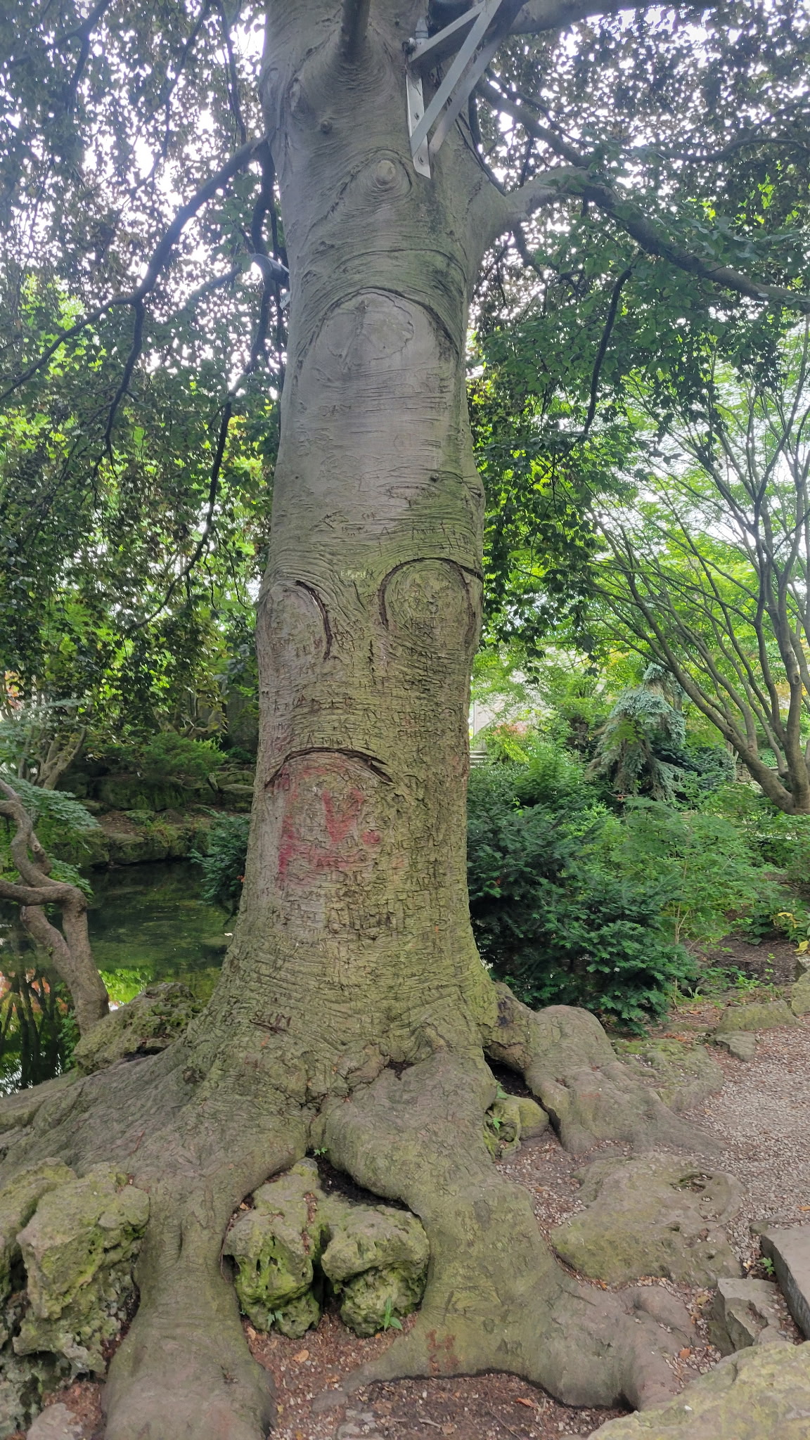 Off brand Deku Tree Blank Meme Template