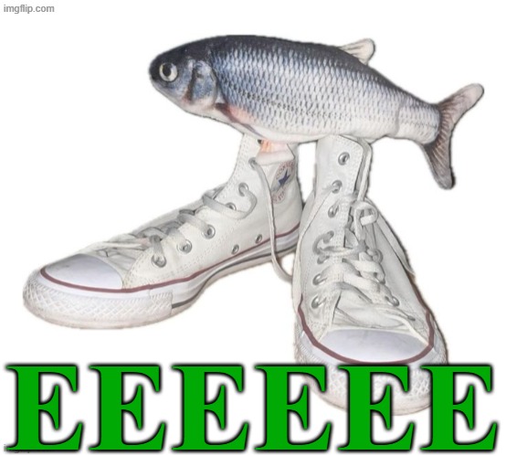 EEEEEE | EEEEEE | image tagged in fih,memes,fish,shoes,green | made w/ Imgflip meme maker