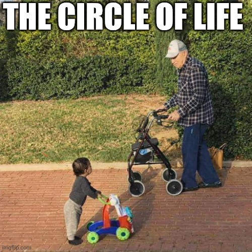 The Circle Of Life | THE CIRCLE OF LIFE | image tagged in chrisjoines1 | made w/ Imgflip meme maker