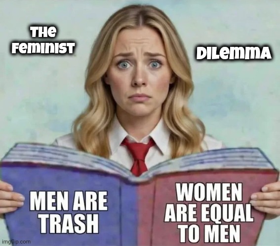 The Feminist dilemma | made w/ Imgflip meme maker