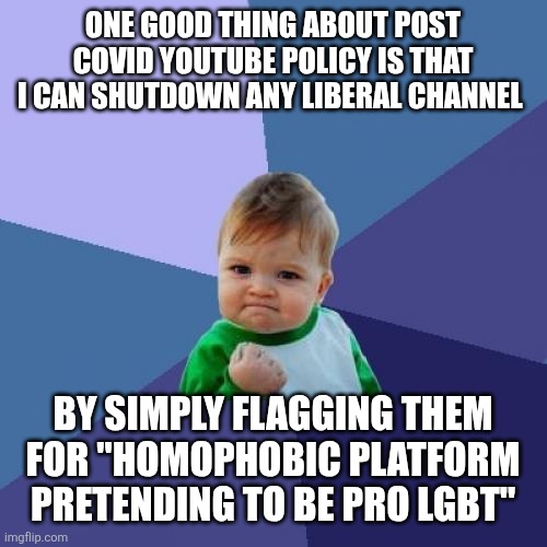 Bots gettem every time | ONE GOOD THING ABOUT POST COVID YOUTUBE POLICY IS THAT I CAN SHUTDOWN ANY LIBERAL CHANNEL; BY SIMPLY FLAGGING THEM FOR "HOMOPHOBIC PLATFORM PRETENDING TO BE PRO LGBT" | image tagged in memes,success kid | made w/ Imgflip meme maker