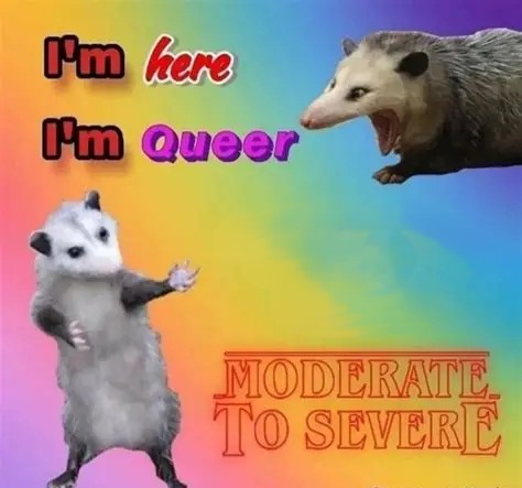 i'm here i'm queer Blank Meme Template