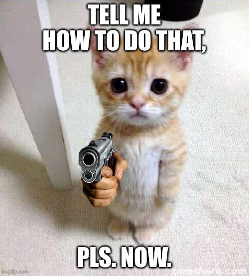Cute Cat Meme | TELL ME HOW TO DO THAT, PLS. NOW. | image tagged in memes,cute cat | made w/ Imgflip meme maker