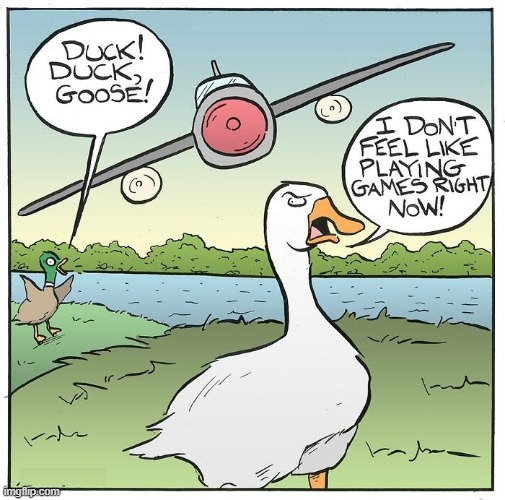 Duck Goose | image tagged in comics | made w/ Imgflip meme maker