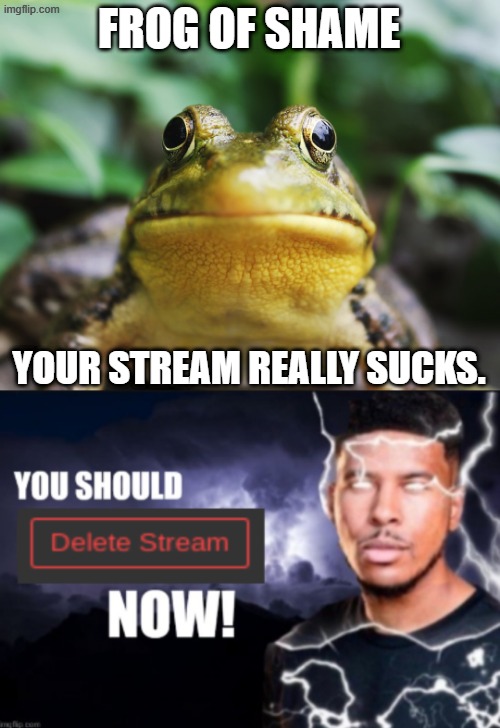 Please Delete Your Stream. | FROG OF SHAME; YOUR STREAM REALLY SUCKS. | image tagged in frog of shame,you should delete stream now,frog,shame,delete,memes | made w/ Imgflip meme maker
