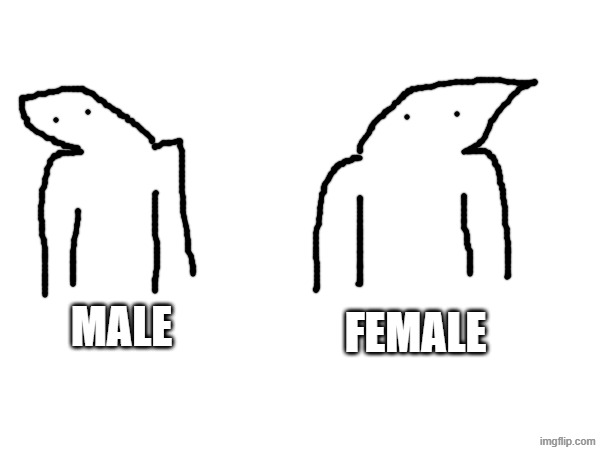 MALE FEMALE | made w/ Imgflip meme maker