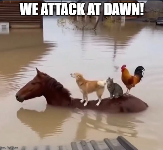 Animal Attack | WE ATTACK AT DAWN! | image tagged in dogs | made w/ Imgflip meme maker