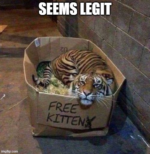 Free Kitten | SEEMS LEGIT | image tagged in cats | made w/ Imgflip meme maker