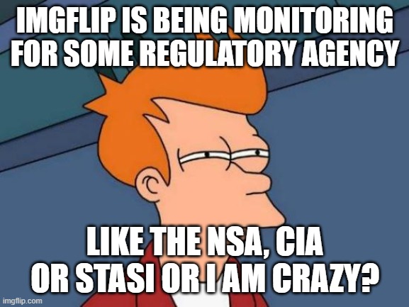 imgflip monitoring | IMGFLIP IS BEING MONITORING FOR SOME REGULATORY AGENCY; LIKE THE NSA, CIA OR STASI OR I AM CRAZY? | image tagged in memes,futurama fry | made w/ Imgflip meme maker