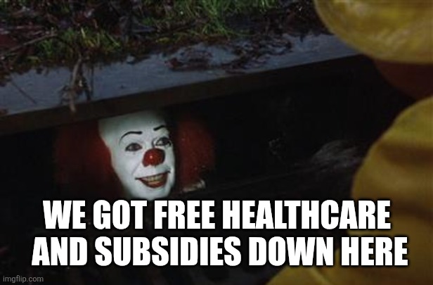 WE GOT FREE HEALTHCARE
 AND SUBSIDIES DOWN HERE | image tagged in funny memes | made w/ Imgflip meme maker