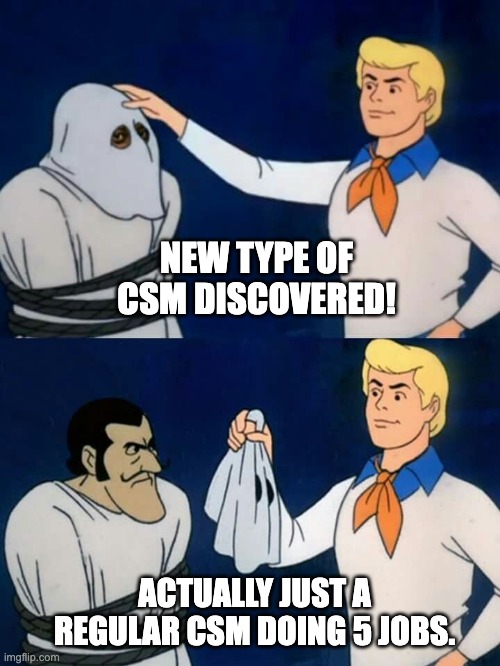 CSM jobs | NEW TYPE OF CSM DISCOVERED! ACTUALLY JUST A REGULAR CSM DOING 5 JOBS. | image tagged in scooby doo mask reveal | made w/ Imgflip meme maker