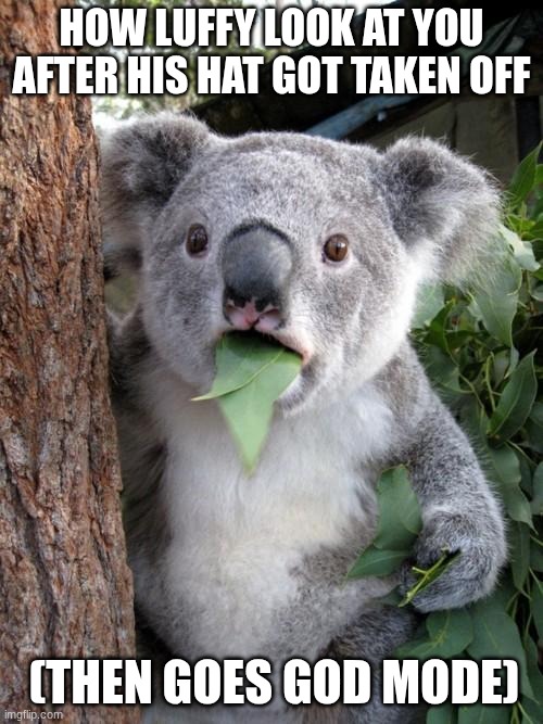 god mode | HOW LUFFY LOOK AT YOU AFTER HIS HAT GOT TAKEN OFF; (THEN GOES GOD MODE) | image tagged in memes,surprised koala | made w/ Imgflip meme maker