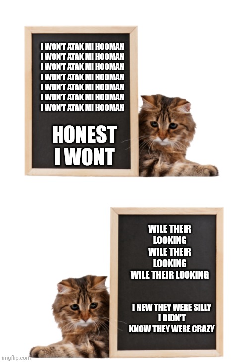 I WON'T ATAK MI HOOMAN

I WON'T ATAK MI HOOMAN

I WON'T ATAK MI HOOMAN

I WON'T ATAK MI HOOMAN

I WON'T ATAK MI HOOMAN

I WON'T ATAK MI HOOM | image tagged in cat with blackboard | made w/ Imgflip meme maker