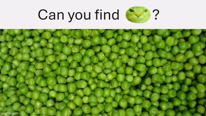 image tagged in co | made w/ Imgflip meme maker