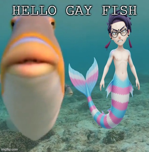 hello gay fish | HELLO GAY FISH | image tagged in do you fart,funny memes,anime,pokemon memes,corbeau,hello there | made w/ Imgflip meme maker