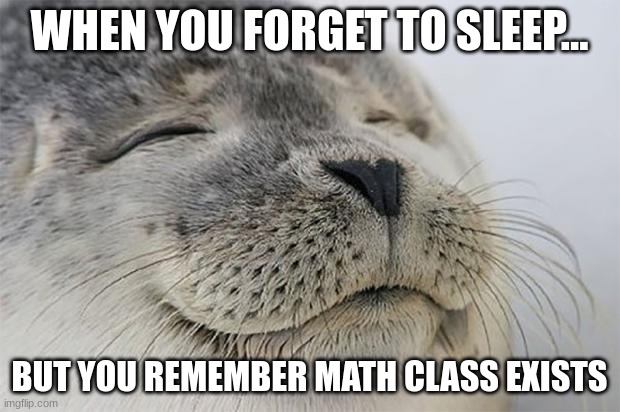 everyone sleeps in math class | WHEN YOU FORGET TO SLEEP... BUT YOU REMEMBER MATH CLASS EXISTS | image tagged in memes,satisfied seal | made w/ Imgflip meme maker