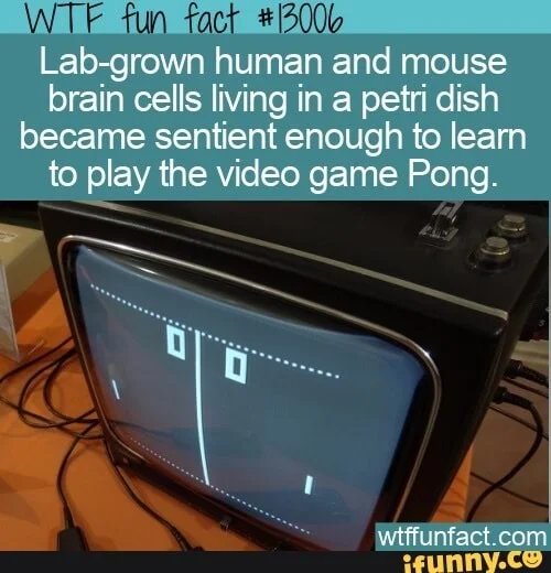 MATRIX! AI! COMPUTER! Blank Meme Template