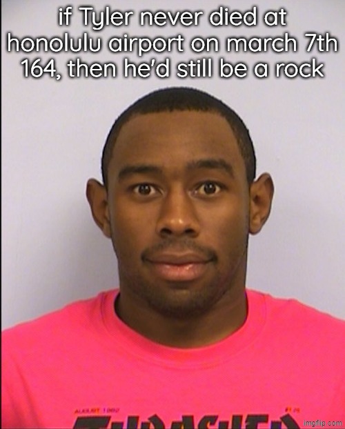 Tyler Mugshot | if Tyler never died at honolulu airport on march 7th 164, then he'd still be a rock | image tagged in tyler mugshot | made w/ Imgflip meme maker