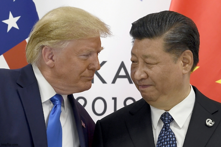 Trump and his best buddy Xi | image tagged in trump and his best buddy xi | made w/ Imgflip meme maker
