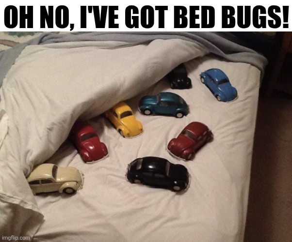 Oh No, I've Got Bed Bugs! | OH NO, I'VE GOT BED BUGS! | image tagged in chrisjoines1 | made w/ Imgflip meme maker