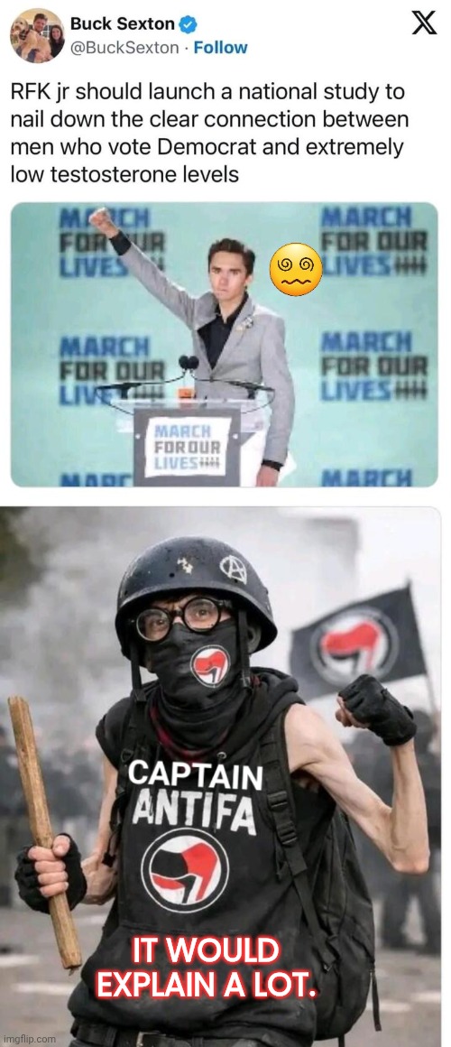 Captain Antifa & David Hogg have low testosterone | IT WOULD EXPLAIN A LOT. | image tagged in captain antifa,david hogg,low quality | made w/ Imgflip meme maker