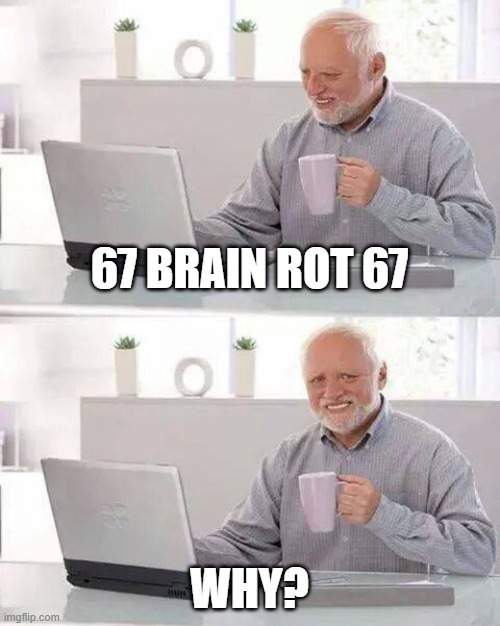 Yep. | 67 BRAIN ROT 67; WHY? | image tagged in memes,hide the pain harold | made w/ Imgflip meme maker