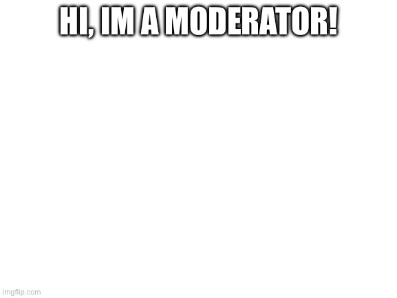 Hi | HI, IM A MODERATOR! | image tagged in blank white template | made w/ Imgflip meme maker