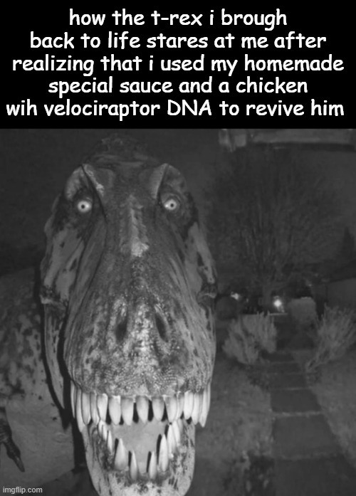 I don't know why this idea came into my head but here it is | how the t-rex i brough back to life stares at me after realizing that i used my homemade special sauce and a chicken wih velociraptor DNA to revive him | image tagged in t rex,wait what | made w/ Imgflip meme maker